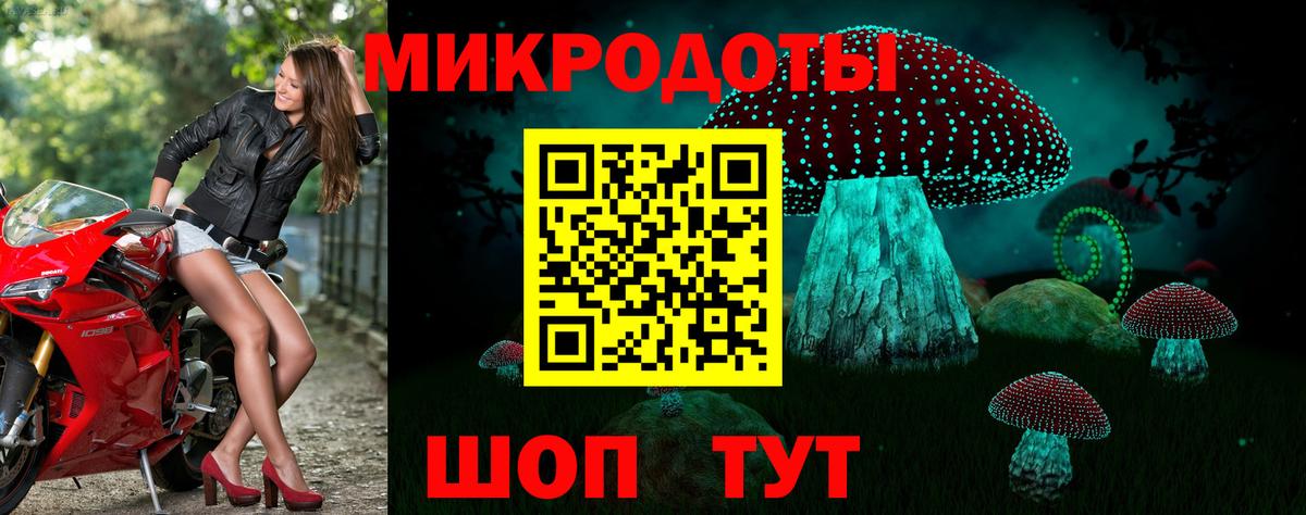 Псилоцибиновые грибы прущие грибы Сатка